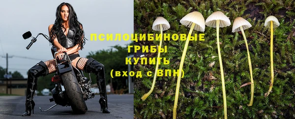 mdpv Арсеньев
