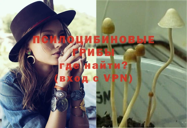 mdpv Арсеньев