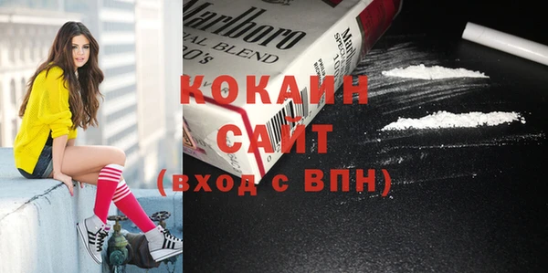 твердый Аркадак
