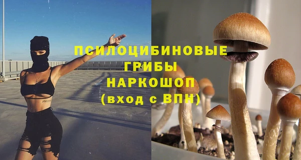 mdpv Арсеньев